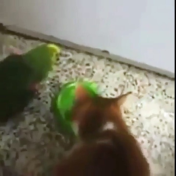 How to deal with annoying friend when you eat funny