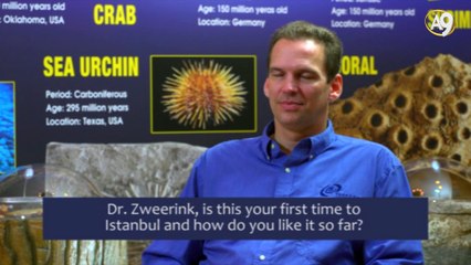 Dr. Jeff Zweerink’s comments on Istanbul