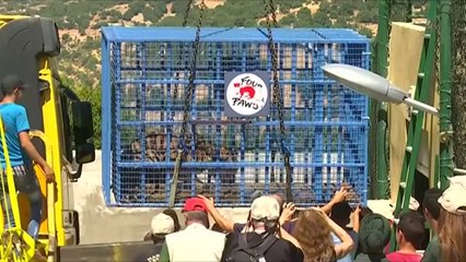 4 thundrakët që i shpëtuan tmerrit të Aleppos - Top Channel Albania - News - Lajme