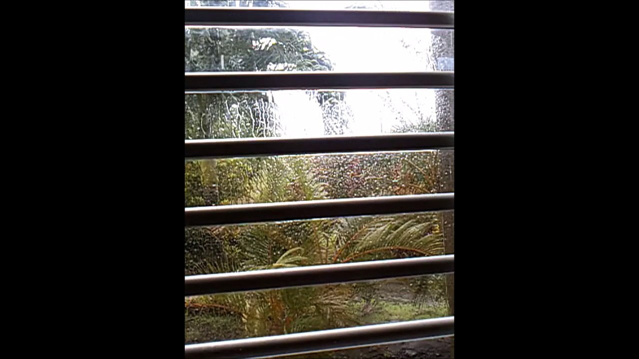 MARTINIQUE - ONDE TROPICALE (3.8.17) www.abadennou.fr