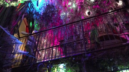 Creador de "Juego de Tronos" lanza atracción en Santa Fe