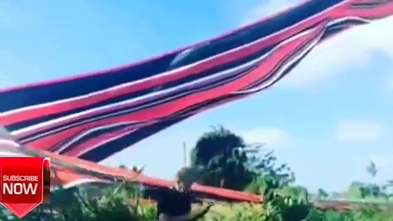 LAYANGAN RAKSASA – NAGARAJA SUKSES TERBANG KE AMBARAWA