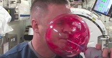 Astronaut at International Space Station Demonstrates Making Giant Water Bubble
