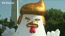 Un poulet géant de 9 mètres de haut à l'effigie de Trump près de la Maison Blanche