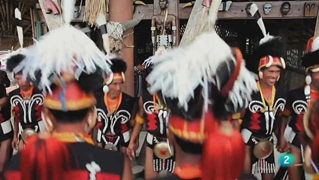 Documental Animales que cambiaron la historia 6- La inspiración online