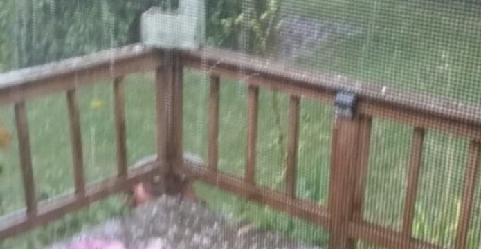 Severe Hailstorm Hits Greater Detroit Area