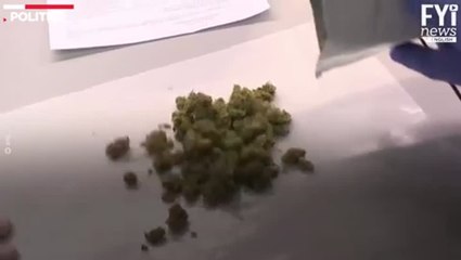 Medical Marijuana Grows Puerto Rico's Economy