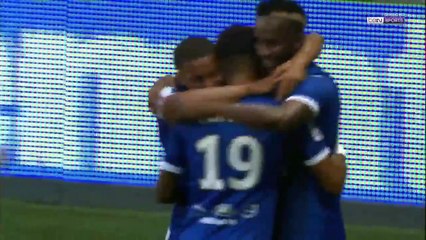 OGC Nice 1:2 Troyes  All Goals & Highlights