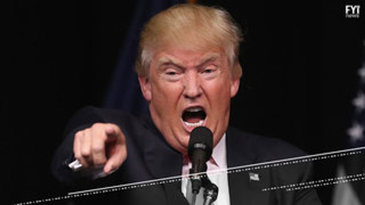 Trump's Solar Wall Proposal