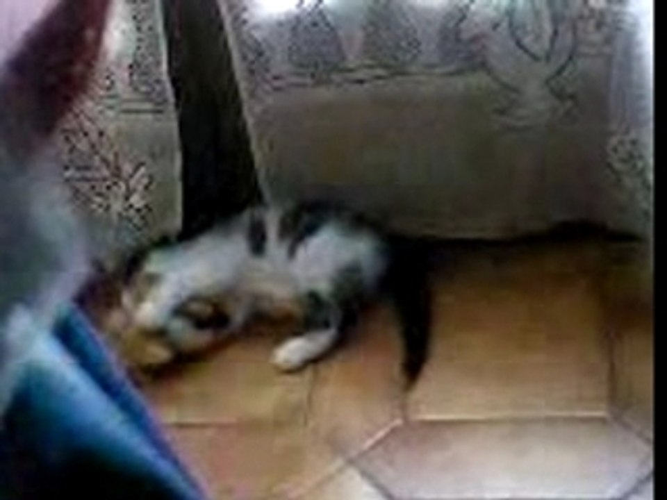 Casper qui joue ac un nounours