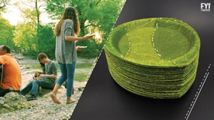 Environmentally Friendly Plates