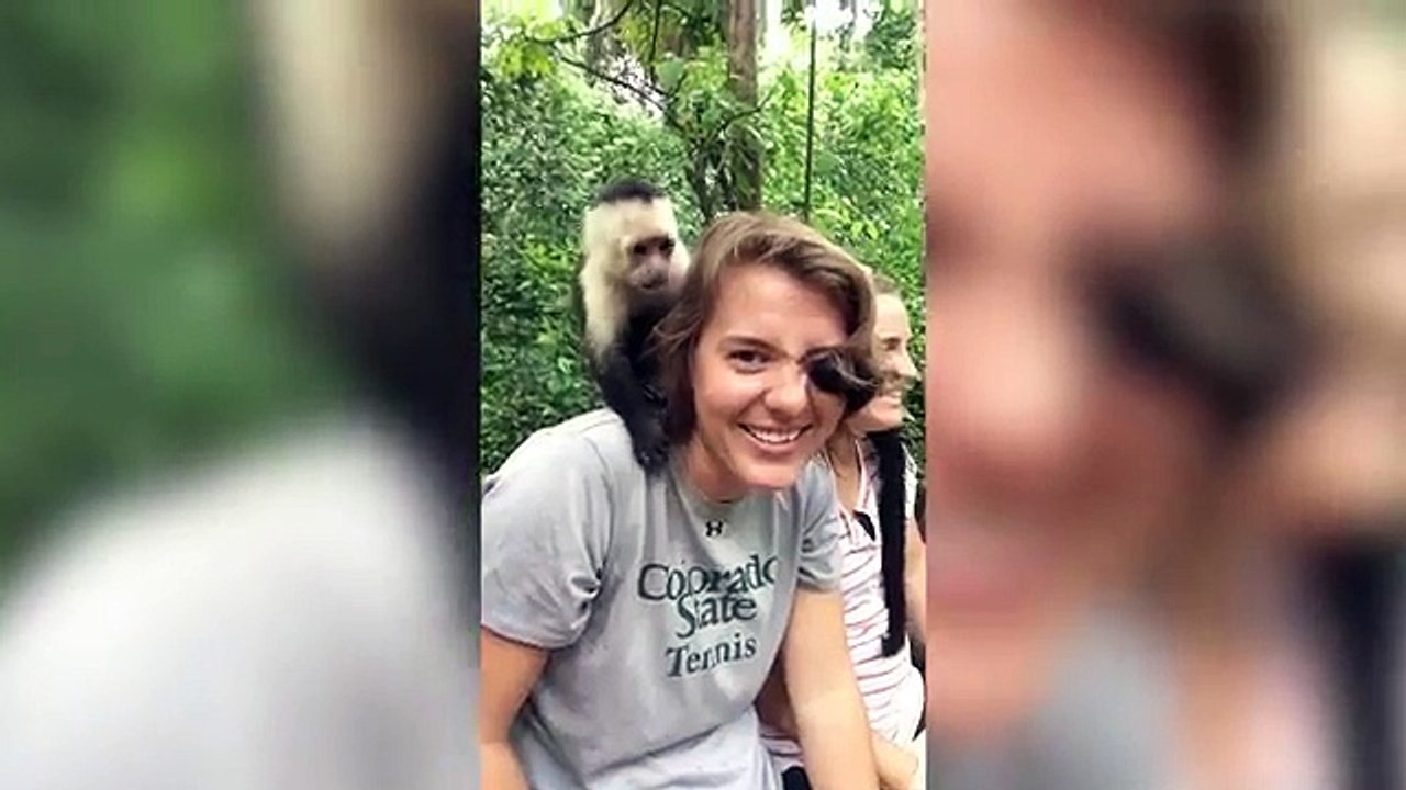 Funniest Pet & Animal Clips, Bloopers & Moments Caught On Tape Weekly Compilation - Funny Pet Videos