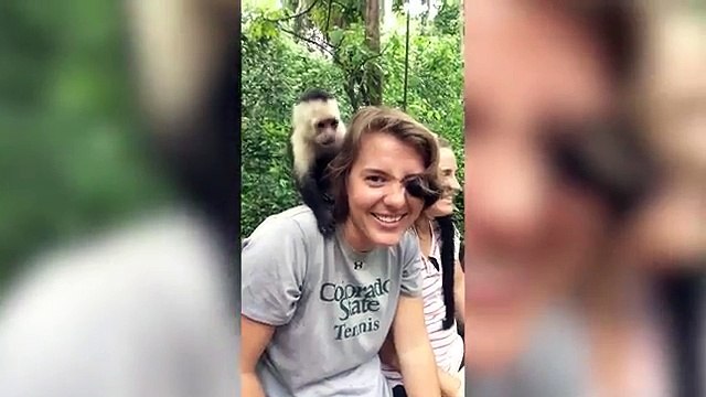 Funniest Pet & Animal Clips, Bloopers & Moments Caught On Tape Weekly Compilation - Funny Pet Videos