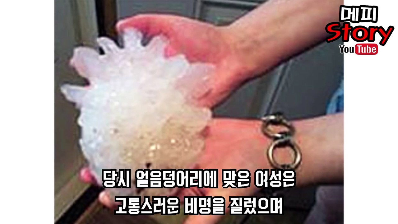 [더러움주의!] 맑은 하늘에서 뚝 떨어진 얼음덩어리의 정체는