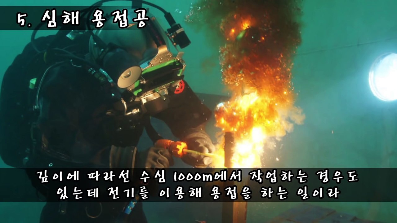 [랭킹 TOP 5] 위험한 극한직업 TOP 5 _ 메피 미스터리 랭킹  티비플