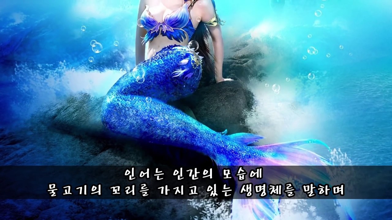 [미스터리] 세계의 미스터리 인어 _ 메피 미스터리 랭킹  티비플