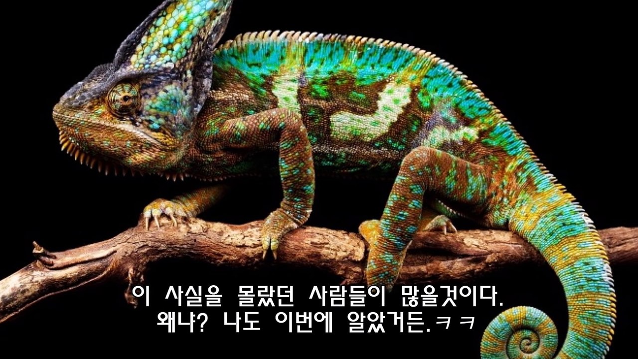 [프롬더탑] 야한 생각을 하면 머리카락이 빨리 자란다 우리가 잘못 알고 있는 상식 10가지