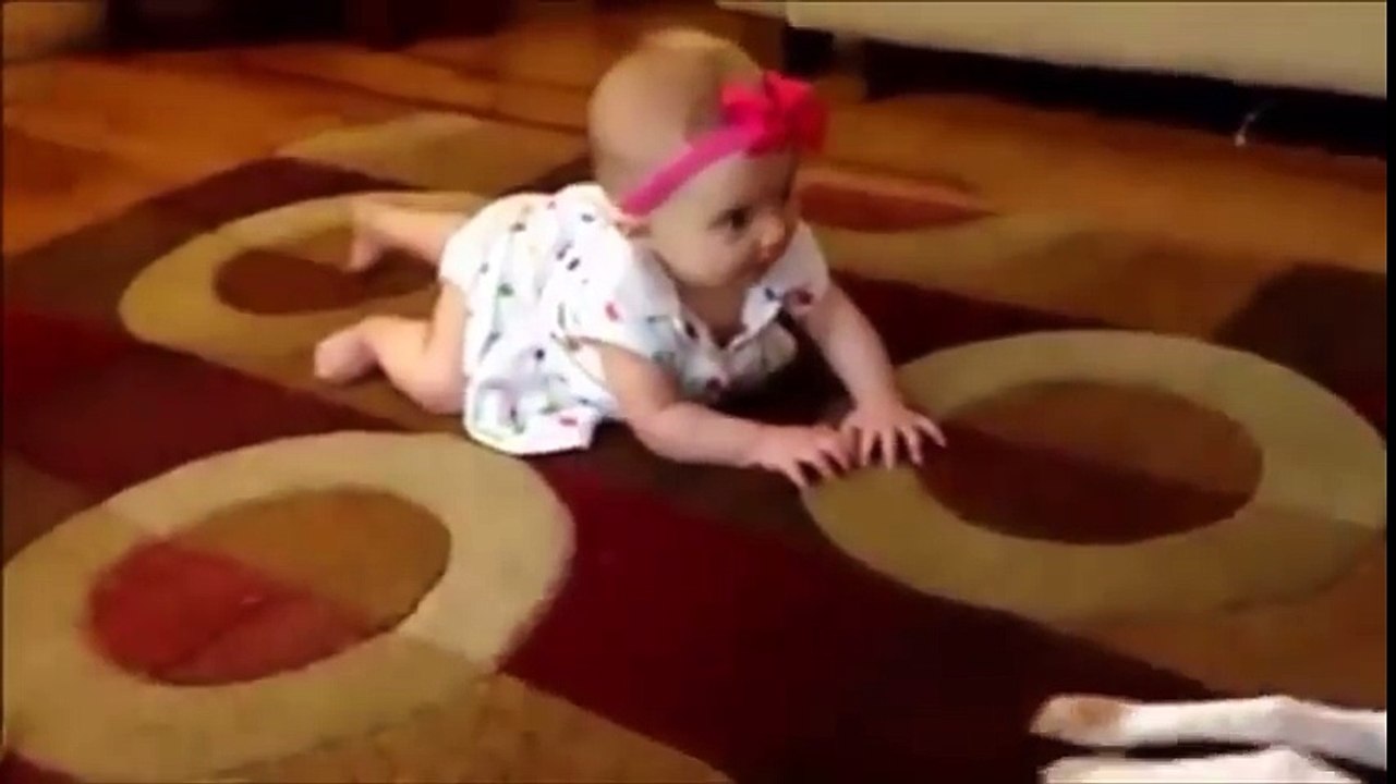 Funny WhatsApp Videos 2016- 2017