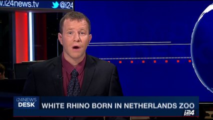 i24NEWS DESK | White rhino born in Netherlands zoo | Saturday, August 12th 2017
