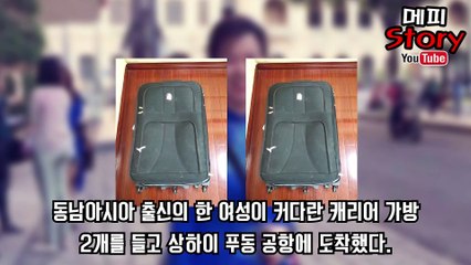 중국에서 발견된 이상한 가방의 정체는 충격적인 물건을 가지고 있던 가방 _ 메피스토리