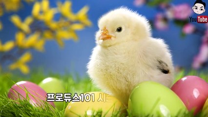 프로듀스 유선호.라이관린 직접쓴 손편지공개!+손편지 내용 To.국민프로듀스 여러분들께 꼭 봐주세요♥!!