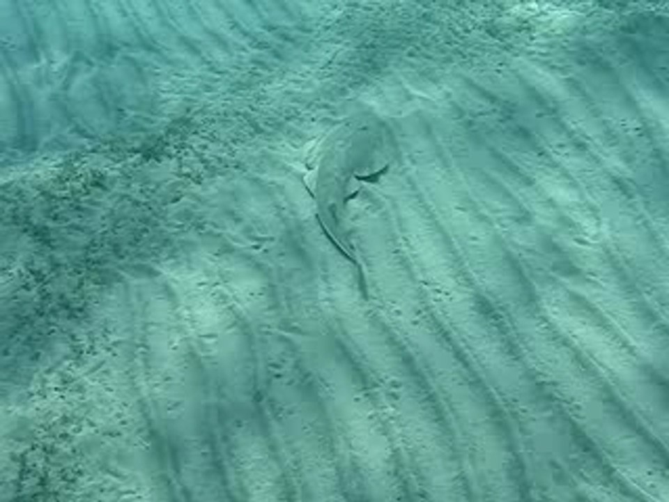 MOV02176