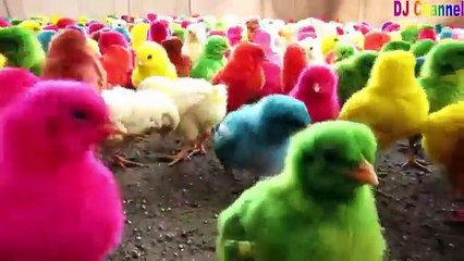 Video Xiếc Voi [HD] - Chú Voi Con Ở Bản Đôn Remix - Nhạc thiếu nhi sôi động