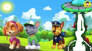 Wrong Eyes Paw Patrol Finger Family Song Nursery Rhymes Learn Colors For Kids