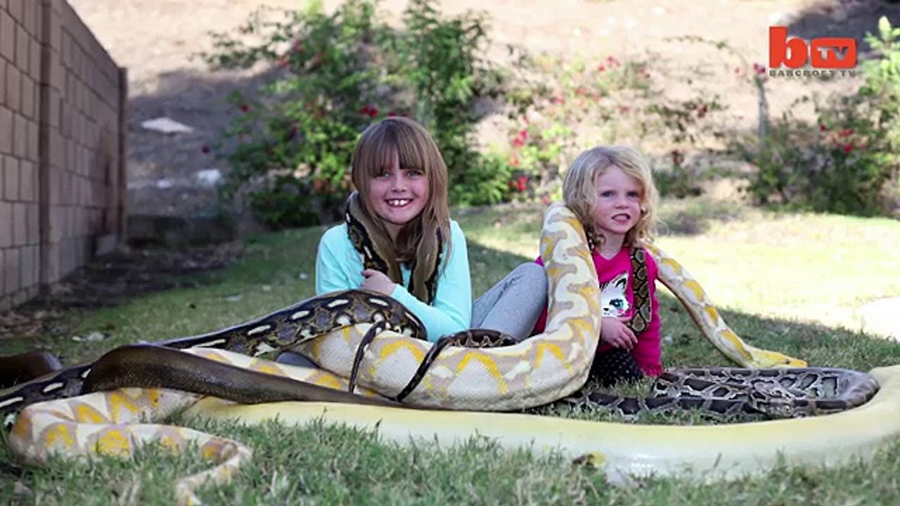 Snake vs 3-year-old- Lizard King Dad Lets Kids Play With Huge Reptiles