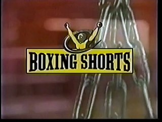 Sugar Ray Robinson vs Rocky Graciano