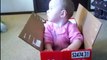 Funny Babies - Playing In Boxes | Cute Baby