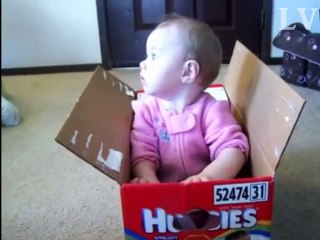 Funny Babies - Playing In Boxes | Cute Baby