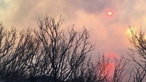 VIDEO. Incendies dans le Cap Corse : 1500 hectares parcourus, plus de 700 personnes évacuées