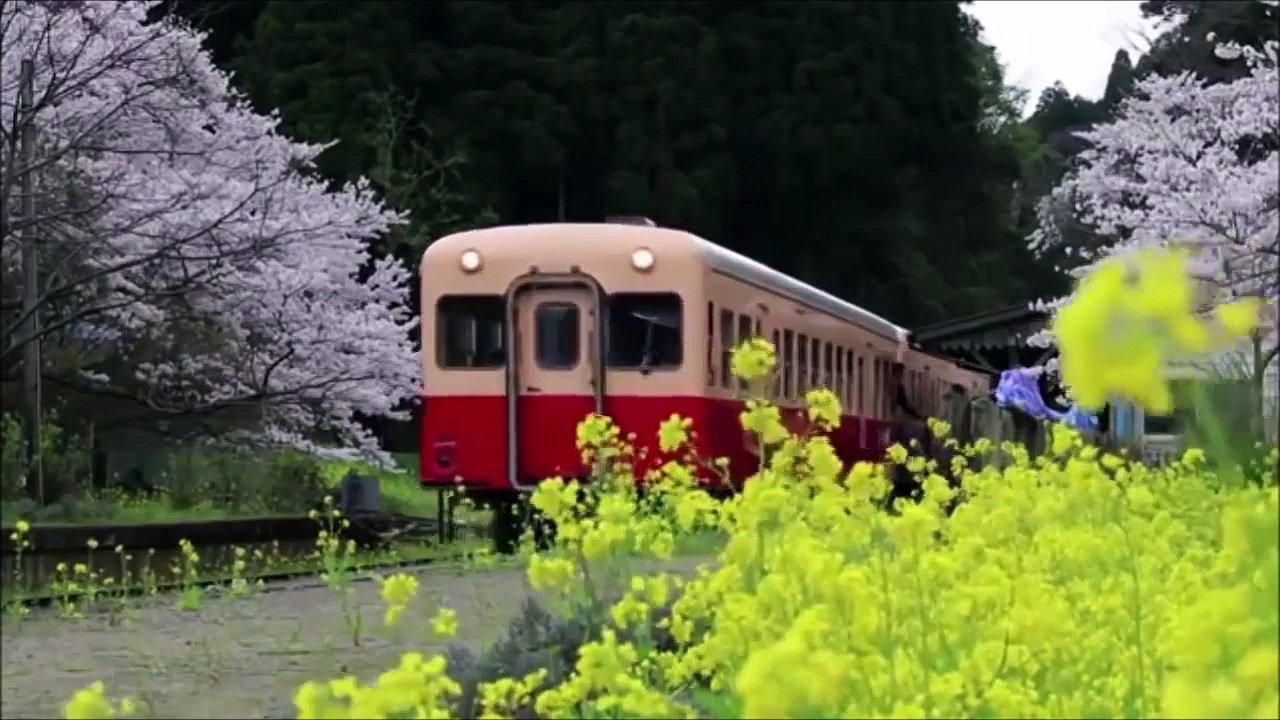 Yumi Matsutoya Haru yo koi