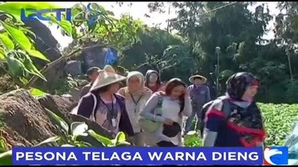 Pesona Telaga Warna di Dieng Sangat Manjakan Mata Wisatawan