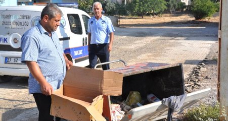 Antalya'da Silahla Vurularak Çöpe Atılan 2 Kedi Bulundu