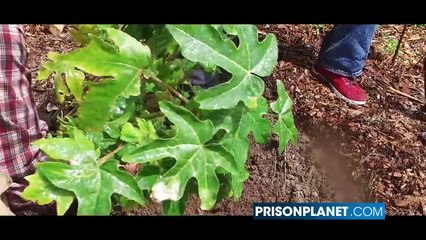 Tim Kennedy Reveals Secret To Off Grid Living