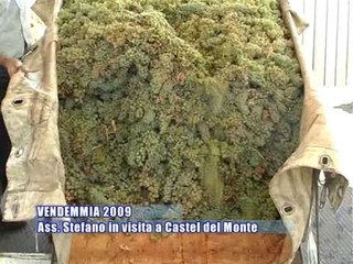 VENDEMMIA 2009. L'Ass. Stefàno visita i vigneti di Castel del Monte