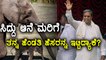 Siddaramaiah named his wife's name for a baby elephant as Parvati in Mysore Zoo | Oneindia Kannada