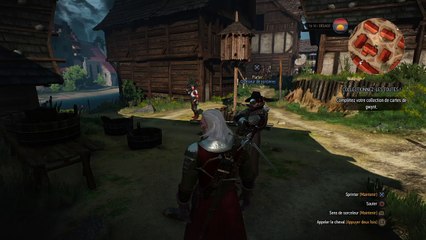 The Witcher 3: Wild Hunt bug chasseur de sorcières