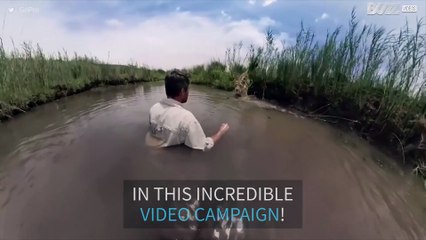 Meet Kevin Richardson, the lion whisperer