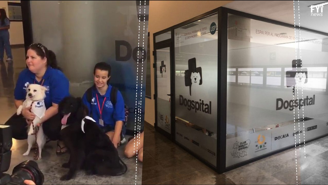 Everyone Needs a 'Dogspital'