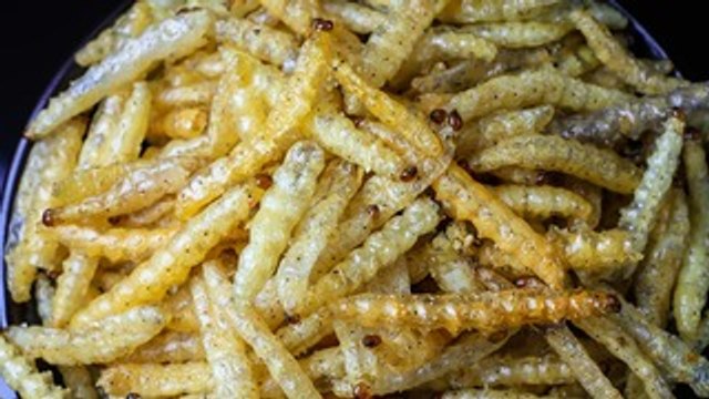 Maggots: to eat or not to eat?