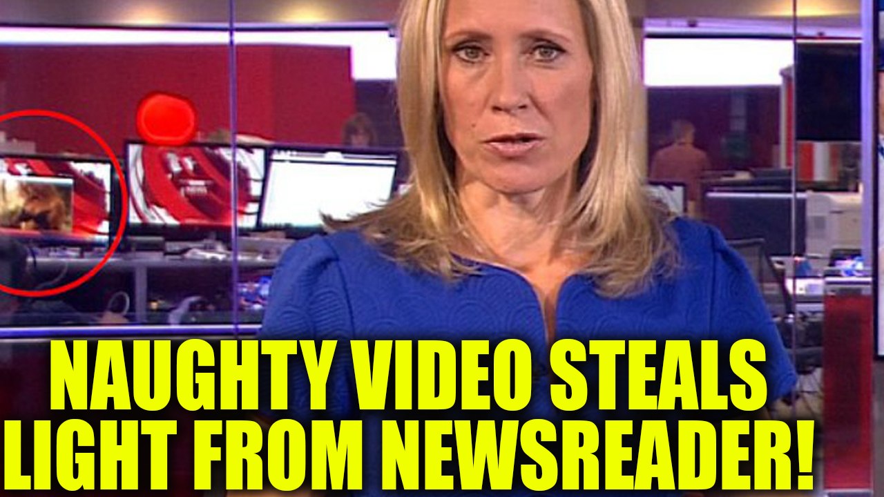 BBC Newsreader sidelined by naughty video in the backdrop | Oneindia News