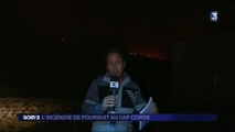 Corse : 350 hectares de végétation ravagés par les flammes