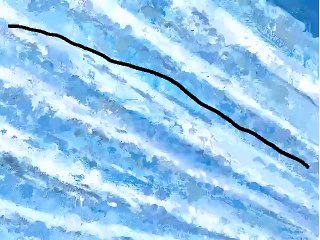 笑うカエル《東京ハイジ》