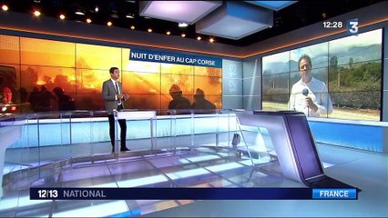 Incendie en Corse : les pompiers peinent à maîtriser le feu