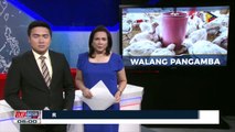 Palasyo, mahigpit na nakabantay sa sitwasyon sa Bird Flu outbreak sa Pampanga