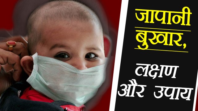 जापानी बुखार Encephalitis Fever जाने क्या है लक्षण और इस बीमारी के उपाय | Boldsky