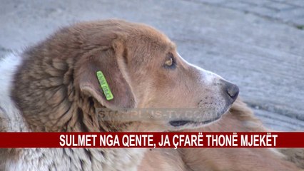 SULMET NGA QENTË, JA ÇFARË THONË MJEKET
